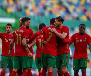 Hungary - Bồ Đào Nha: 3 điểm cho 'Seleccao'
