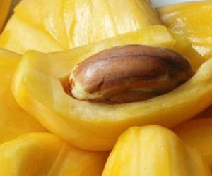 Bộ phận siêu quý giá của quả mít: Phụ nữ ăn vào chống lão hoá, giúp chồng 'sung mãn' đến bất ngờ nhưng người Việt thường tiện tay ném bỏ