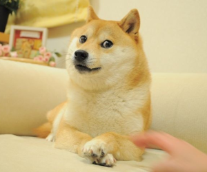Một ai đó vừa chi ra 92 tỷ đồng để sở hữu meme huyền thoại nhất trong lịch sử Internet
