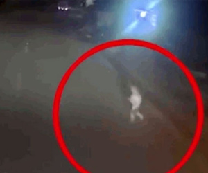 Bé trai bất ngờ chạy băng qua đường lúc nửa đêm và khoảnh khắc mang đến nỗi sợ hãi cho bất cứ phụ huynh nào