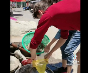 Đi mua tôm sợ bị đọng nước làm tăng cân, thanh niên nghĩ ra mẹo đặc biệt khiến người bán tôm chỉ muốn khóc thét