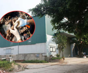 Người dân ngỡ ngàng khi biết sống cạnh kho ma túy ngụy trang trong dạ dày lợn: Xưởng lắp nhiều camera, không 1 khe hở, lúc nào cũng đóng cửa