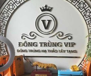 Hà Nội bắt lô đông trùng hạ thảo không rõ nguồn gốc lớn nhất từ trước đến nay