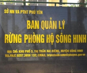 Phục hồi vụ án 'tham ô', khởi tố 1 cựu phó giám đốc ban quản lý rừng phòng hộ