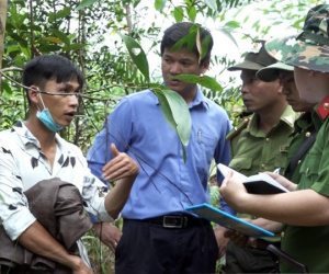 Nhân viên giữ rừng cầm đầu đường dây khai thác gỗ quý trái phép
