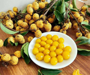Nhãn rừng mọc trên núi đá, muốn ăn đặt trước cả tuần may ra mới có