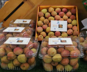 Vải tươi Việt Nam được đấu giá lên tới gần 53 triệu đồng/kg tại Australia