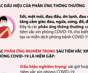 Infographic: Những dấu hiệu nhận biết phản ứng thông thường và nghiêm trọng sau tiêm vắc-xin Covid-19