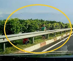 Ba bé trai đứng ngay sát dải phân cách, ném đá vào ô tô trên cao tốc
