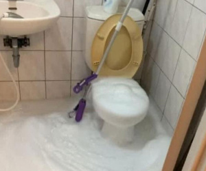 Mới về làm dâu ngày đầu, cô gái khiến 'bồn cầu ngộ độc' và cái kết bị mẹ chồng mắng: 'Ăn gì mà ngốc nghếch!'