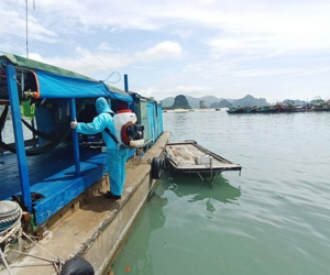 Quảng Ninh: Thêm 1 ca mắc Covid-19 là F1 của BN 12245