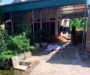 Vụ thảm sát gia đình bố mẹ vợ: Chân dung kẻ thủ ác qua lời kể của láng giềng