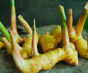 3 loại thực phẩm ngon rẻ giàu canxi và vitamin bậc nhất, bác sĩ khuyên nên ăn nhiều để không lo mắc bệnh xương khớp