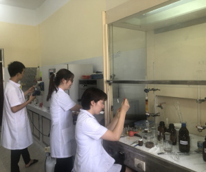 Nhà khoa học Việt Nam tổng hợp thành công thuốc điều trị Covid-19