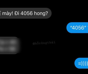 Đi 4056 không?