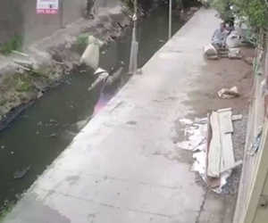 Người phụ nữ đang đi thì bất ngờ bị bao xi măng hất bay xuống mương nước