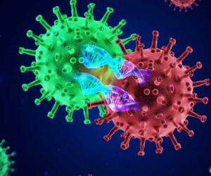 Virus đột biến Delta Plus đã lây lan tăng tốc ra 11 quốc gia, dự đoán có thể còn mạnh hơn Delta