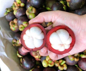 Măng cụt ngập chợ, cách chọn để 10 quả ngon ngọt cả 10