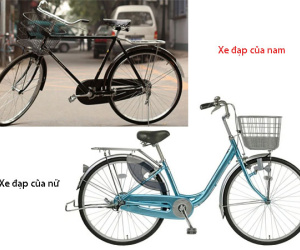 Tại sao xe đạp nam có thanh ngang, xe nữ lại không?