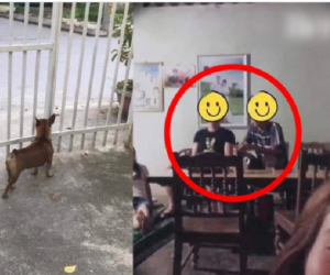 Đến nhà ra mắt, thanh niên không ngờ chiếc cổng nhà hé mở từ trước lại là 'kịch bản' khó tin của bố vợ tương lai!