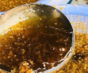 Việt Nam có thứ mật đen siêu hiếm, hàng triệu đồng 1 lít vẫn khó mua