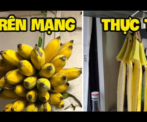 Mua được nải chuối ngon nhưng sợ chín sớm ăn không kịp, cô gái lên mạng tìm cách bảo quản và cái kết khiến ai cũng cười ngặt nghẽo
