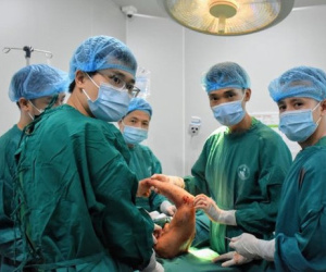 Ký ức kinh hoàng của người phụ nữ 58 tuổi về giây phút cánh tay bị máy cưa cắt rời