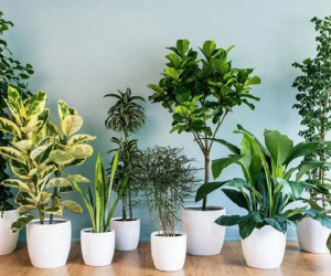 10 điều cấm kỵ trong phong thủy nhất định phải biết để tránh, thay đổi được sẽ mang lại may mắn, tài lộc cho gia đình