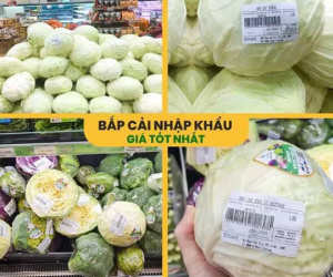 Thực hư siêu thị bán bắp cải 250.000 đồng/kg trong mùa dịch