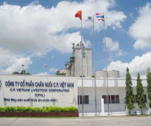 Nhiều 'đại gia' bị truy thu thuế khủng