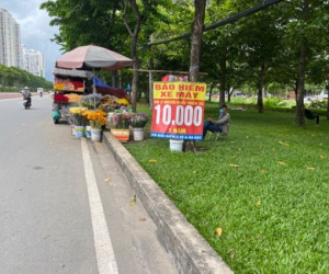 Bảo hiểm xe máy lề đường 'hết đất sống'