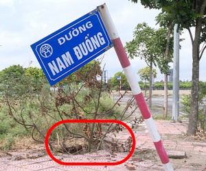 Video: Hố ga mất nắp, những cái 'bẫy' chết người trên đường phố Hà Nội
