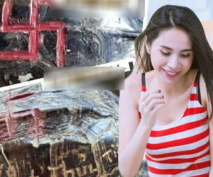 Tên Thuỷ Tiên và Công Vinh được khắc lên mai rùa phóng sinh, cư dân mạng chỉ trích vì hành động gây nguy hiểm tới loài vật này