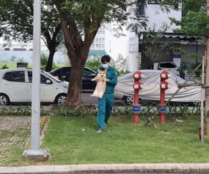 Ham chơi ra đường khi cả khu phố nhà mình đang bị phong toả, chú chó được cán bộ dân phòng cắp nách ngay về với chủ