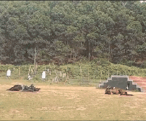 Màn biểu diễn đỉnh cao của Cảnh sát cơ động Kỵ binh: Điều khiển cho ngựa đổ người nằm im 'giả chết', né đạn