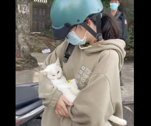 Nữ sinh bật khóc xin đưa mèo đi chữa bệnh nhưng bị người ở chốt kiểm dịch 'mỉa mai', bắt đóng phạt: Chú mèo đã chết, cán bộ trực chốt quay clip nói gì?