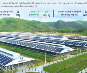 Phát triển bền vững sẽ là 'vaccine' của doanh nghiệp giữa bão COVID-19