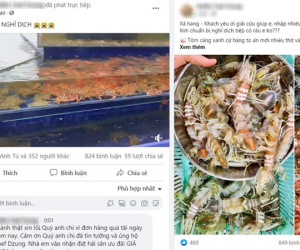Nhà hàng buffet trở tay không kịp, xả cua Cà Mau, tôm hùm, cầu cứu khách trước giờ dừng bán