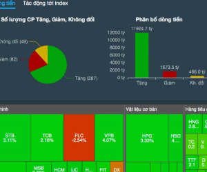 Thanh khoản èo uột, cổ phiếu 'bank chứng thép' vẫn vụt sáng
