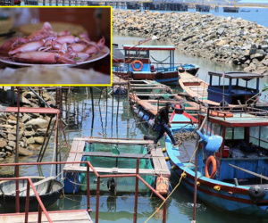'Phố' mực nhảy đìu hiu mùa dịch