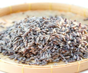 Người phụ nữ bị suy đa tạng sau khi ăn một loại gạo, bác sĩ cảnh báo nếu không muốn chết sớm thì bỏ ngay 3 loại thực phẩm này