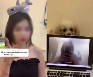 Drama căng đét giới TikTok: Hot girl làm 1 loạt clip hướng dẫn học sinh gian lận, bị lên án, lời đáp trả càng gây phẫn nộ