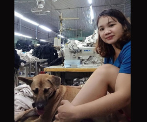 Cách ly tại chỗ làm, người phụ nữ xin công ty mang theo cún cưng cho đỡ nhớ, bất ngờ nhất là cách trả lời của vị Giám đốc