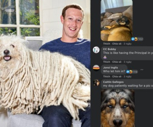 Dù là CEO Facebook, Mark Zuckerbreg cũng bị doạ kick ra khỏi một group vì vi phạm quy tắc