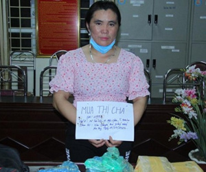 Triệt phá chuyên án vận chuyển trái phép chất ma túy với số lượng 'khủng'