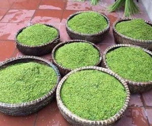 Mất giá một nửa, cốm nếp nương đầu mùa rẻ chưa từng có