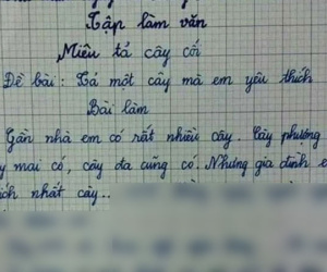 Bài văn tả cây của học sinh lớp 3: Cây kiếm ra tiền, khiến mẹ khổ sở, đọc tên cây mà nhiều người lớn sững sờ