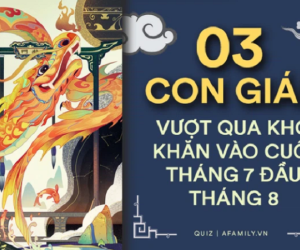 Cuối tháng 7 đầu tháng 8, 3 con giáp này có vận may lội ngược dòng, mọi khó khăn đều được giải quyết, cuộc sống đang dần cải thiện