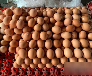 Dân buôn tranh mua, bất ngờ khan hàng, giá trứng tăng cao