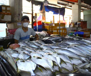 Tôm cá tăng giá nhưng chợ vắng khách mua